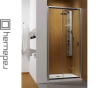 Душевая дверь RADAWAY PREMIUM PLUS DWJ для ванной комнаты