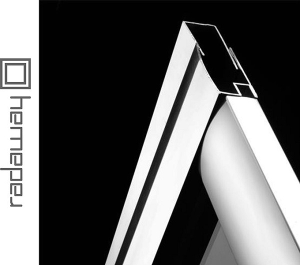 Душевая дверь RADAWAY PREMIUM PLUS DWD для ванной комнаты